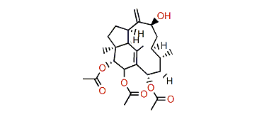 Trinervita-1(15),8(19)-dien-2beta,3alpha,9beta,14alpha-tetrol 2,3,14-O-triacetate